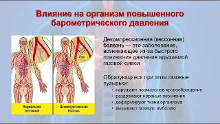 Дыхание в условиях повышенного и пониженного давления Ильиных ОЛД221