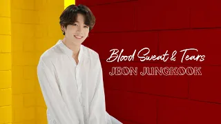 「FMV」 JEON JUNGKOOK - Blood Sweat & Tears
