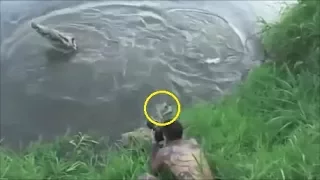 6 REAL CROCODILE ATTACKS ON HUMAN