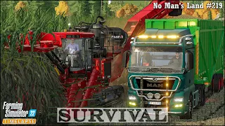 Survival in No Man's Land Ep.219🔹Buying THE CASE IH AUSTOFT 8800 MR Sugarcane Harvester🔹FS 22