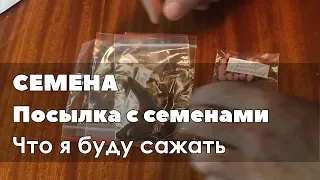 🌱 Посылка с семенами или, что я буду сажать весной 2019 года