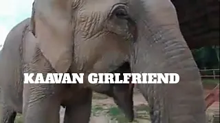 #Kaavan girlfriend so beautiful 🇰🇭