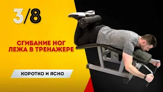 Коротко и Ясно. Упражнение для бицепса бедра: как правильно делать сгибание ног лежа в тренажере