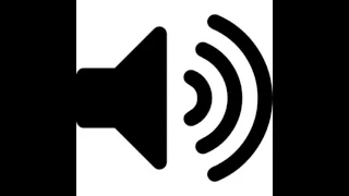 Walkie Talkie feedback sound effect