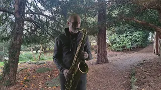 If Tomorrow Never Comes - Sax cover