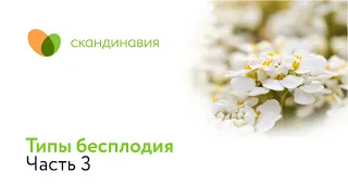 Типы бесплодия. Часть 3