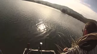 Contra Loma Reservoir, Big Trout!!! "5.1lb Rainbow"