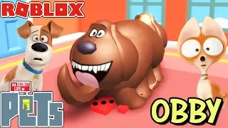 YOU'RE TOO BIG DUKE! - SECRET LIFE OF PETS OBBY IN ROBLOX