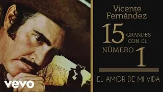 Vicente Fernández - El Amor de Mi Vida (Tema Remasterizado) [Cover Audio]