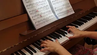 Myounghee Han - Liszt, Liebestraum No.3 in Ab Major (리스트 '사랑의 꿈')