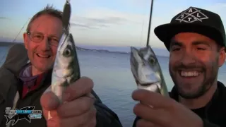 Epic Mackerel Fishing! | TAFishing