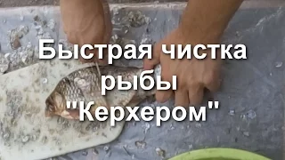 Быстрая чистка рыбы "Керхером".