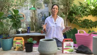 Como adubar suas plantas com Yoorin Fertilizantes (Vídeo Completo)