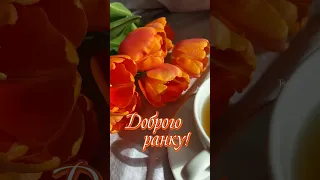 Доброго ранку! Сонячного настрою! Весняного настрою! Гарного дня! Красиве побажання