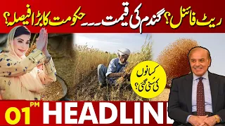 Latest News Related To wheat  | Lahore News Headlines 01 PM | 10 May 2024