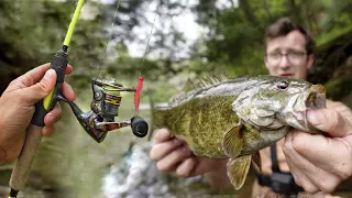 Why you need an Ultralight Rod and Reel for Fishing!