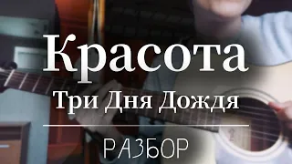 Три Дня Дождя - Красота РАЗБОР ДЛЯ НОВИЧКОВ