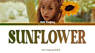 CHOI YOOJUNG 'SUNFLOWER (P.E.L)' Lyrics (최유정 Sunflower 가사) (Color Coded Lyrics)