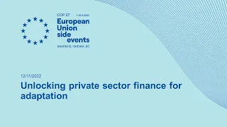 Unlocking private sector finance for adaptation
