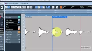 CUBASE: using Audiowarp