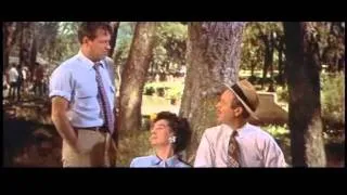 Picnic  Trailer  1955  William Holden  Kim Novak..