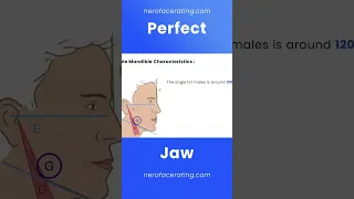 The Perfect Attractive Jaw #shorts #blackpill #faceanalysis