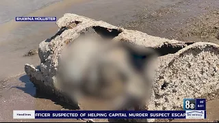 I-Team: Body found in barrel in Lake Mead may date to 1980s, more likely to appear