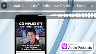 Deborah Gordon on Ant Colonies as Distributed Computers