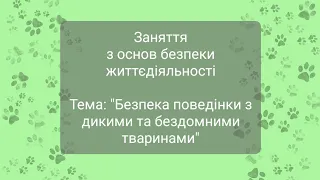 ОБЖД Тема: "Безпека поведінки з дикими та бездомними тваринами"📍🐱🐶🐁