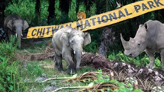 Nepal Chitwan National Park Full Tour Information | Sagar Chhetri