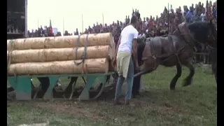 Конни състезания /Варвара -Сираков тв 2015г