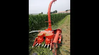 2 rows Corn silage harvester Hay maize chopper Small mounted corn sidelong silage harvester machine