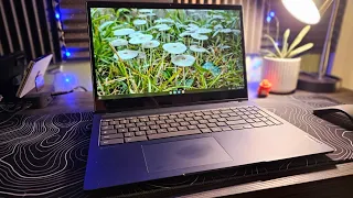 Lenovo Flex 3 15.6" Chromebook Review - N6000, 8GB RAM