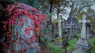 London Graveyard Ambience ✟ Brompton Cemetery Dawn Walk