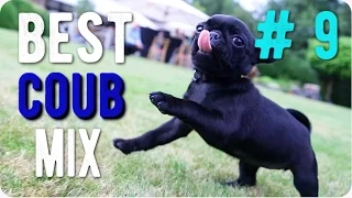 best coub mix #9