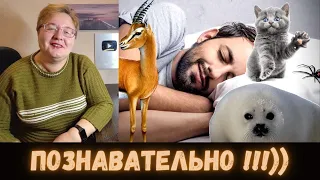 РЕАКЦИЯ МАМЫ НА [kussia - 1488 ИНТЕРЕСНЫХ ФАКТОВ!!!]