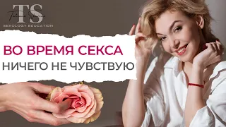 Я ничего не чувствую во время секса, что делать?