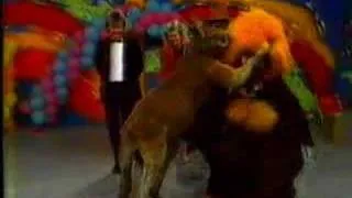 Marty Monster vs Kangaroo "Dear Sister"