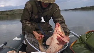 Рыбалка на сазана 💥!!!! МЕТРОВАЯ ТОРПЕДА на обычные снасти