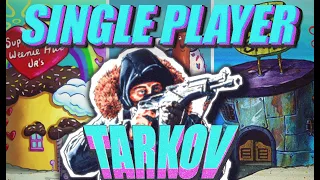 The PVE Tarkov Experience