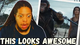 Kingdom Of The Planet Of The Apes Official Trailer Reaction