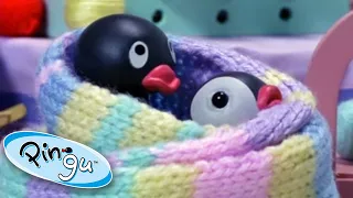 Pingu And His Daily Adventures @Pingu Cartoons For Kids