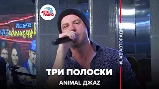 Animal ДжаZ - Три Полоски (LIVE @ Авторадио)