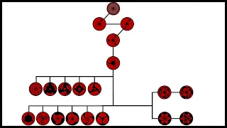 Sharingan tree of all Version and Evolution | Ninja World |