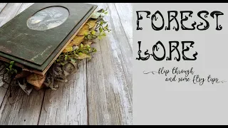 Forest Lore 2.0 Flip-through and some Etsy Tips