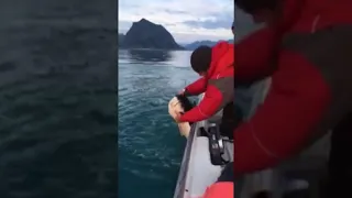 Рыбаки поймали огромного палтуса на Курилах
