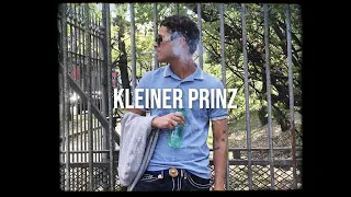 [FREE] PASHANIM x KLEINER PRINZ Type Beat | KLEINER PRINZ | 2022