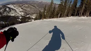 Birds of Prey Downhill Garys view