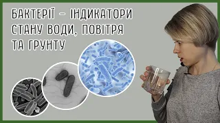 Санітарно-показові мікроорганізми води, повітря та ґрунту. Колі-індекс та колі-титр