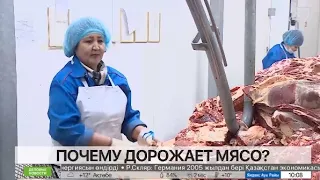 Почему в Казахстане дорожает мясо?